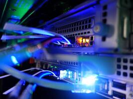 network cables connected to switch - closeup of data center hardware technology photo