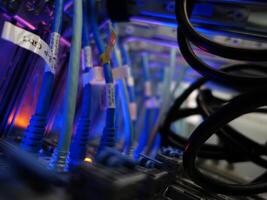 network cables connected to switch - closeup of data center hardware technology photo