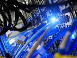 network cables connected to switch - closeup of data center hardware technology photo