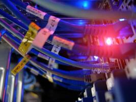 network cables connected to switch - closeup of data center hardware technology photo