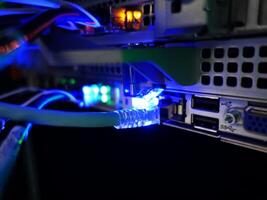 network cables connected to switch - closeup of data center hardware technology photo