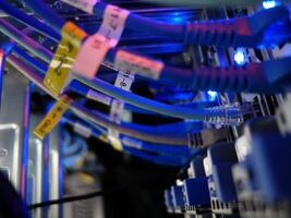 network cables connected to switch - closeup of data center hardware technology photo