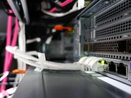 network cables connected to switch - closeup of data center hardware technology photo