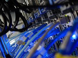 network cables connected to switch - closeup of data center hardware technology photo