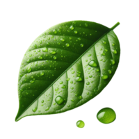 AI-Generated green leaf with water drops on it, png