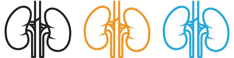 Human kidneys logo set collection for web app ui vector