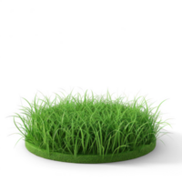 green grass on a round plate, isolated on transparent background png