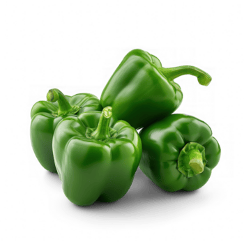 Grün Glocke Pfeffer auf transparent Hintergrund png