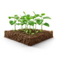 seedlings growing in soil on transparent background background png