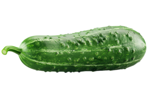 Fresh Green Cucumber Isolated png