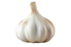 A Single Garlic Bulb png