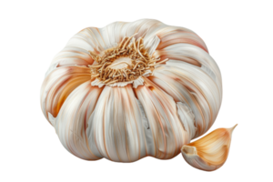 Whole Garlic Bulb With Clove png