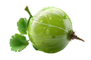 A Single Gooseberry With Dewdrops png