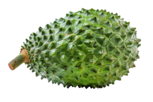 Whole Soursop Fruit Isolated png