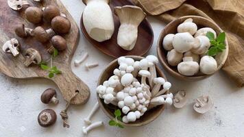 Assortment of various raw mushrooms on gray concrete background video