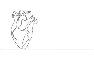 human heart internal organ and pulse cardiology in continuous line drawing vector