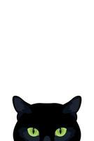 Peeking black cat with green eyes isolated on white background. Cat hides and peeks. illustration vector