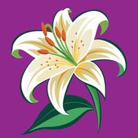 Lilies in Bloom A Celebration of Serenity vector