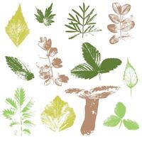 nature elements, autumn leaves set, leaves and mushroom silhouette vector