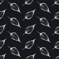 nature elements, autumn leaves seamless pattern, leaves silhouette vector