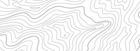 Contour background. Topographic map pattern background. Abstract wavy lines background. Background with topographic contours. Topographic contour map background. vector