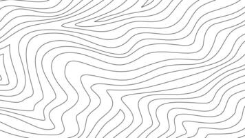 Contour background. Abstract wavy contour background. topographic contour wallpaper. Topographic map background. Topographic contour map background. vector