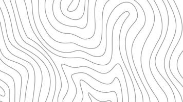 Contour background. Abstract wavy contour background. topographic contour wallpaper. Topographic map background. Topographic contour map background. vector