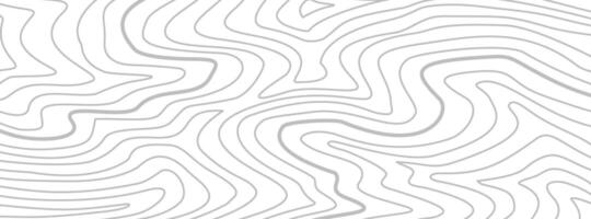Topographic contour map background. Contour background. Topographic map pattern background. Abstract wavy lines background. Background with topographic contours. vector