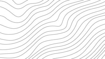 Contour background. Abstract wavy contour background. topographic contour wallpaper. Topographic map background. Topographic contour map background. vector
