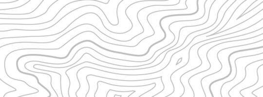 Topographic contour map background. Contour background. Topographic map pattern background. Abstract wavy lines background. Background with topographic contours. vector