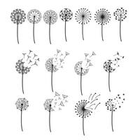 simple dandelion illustration set vector