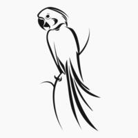 Outline parrot sits on twig. Black and white bird exotic icon. Animal design element for logo, poster, print vector