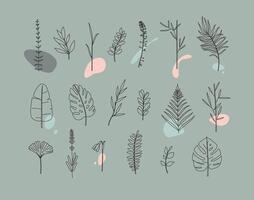 Set of different forms leaves in minimalism flat style on grey background vector