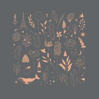 Set of different decorative elements with branches, flowers, animals and various objects drawing on gray background vector