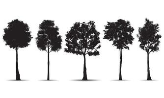 Collection of different forest tree silhouettes vector