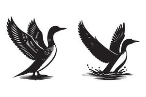 Loon silhouette illustration with white background vector