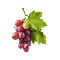 Grape Delight A bunch of Fresh Grapes Fruit Isolated on a Transparent Background png