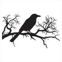 Ominous raven sitting on a bare tree branch silhouette white background vector
