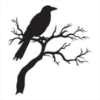 Ominous raven sitting on a bare tree branch silhouette white background vector