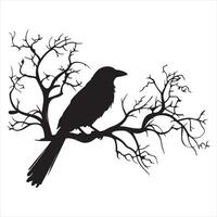 Ominous raven sitting on a bare tree branch silhouette white background vector