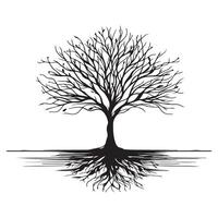 A leafy tree and its roots silhouette white background vector