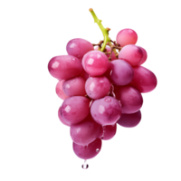 Fresh grapes with Transparent Background png
