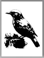 Bird sketch engraving T-shirt apparel print design sketch bird vector
