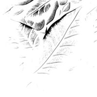 Rustic grunge texture with grain and stains. Abstract noise background. graphic illustration with transparent background. png