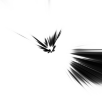 Black and white motion background overlay. Zoom effect. Sparkle backdrop and banner. Gradient textured wallpaper. Graphic illustration with transparent background. png