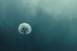 A single dandelion seed against a muted color background illustration photo