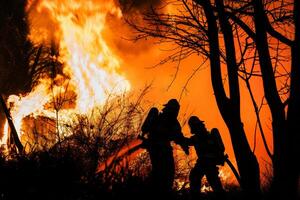 Firefighters fighting the fire in the forest. photo