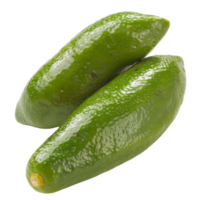 Finger Lime, fruit realistic Illustration. Realistic Transparent file. Mockup template for artwork graphic design png