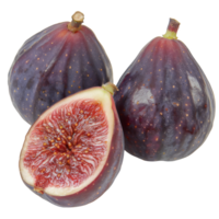 Fig, fruit realistic Illustration. Realistic Transparent file. Mockup template for artwork graphic design png