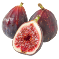 Fig, fruit realistic Illustration. Realistic Transparent file. Mockup template for artwork graphic design png